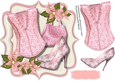 Lovely Pink Shoes and Basque 3
