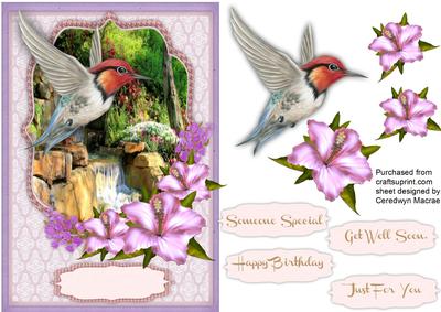 Lovely Humming Bird and Hibiscus 