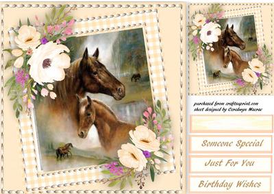 Beautiful Horses and Anemone's