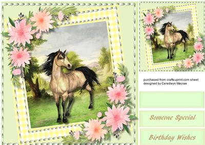 Beautiful Horse in a Gingham Frame 
