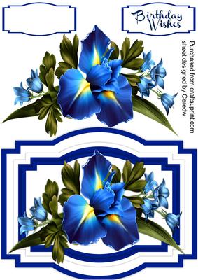 Beautiful Iris and Bell Flowers 