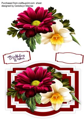 Beautiful Chrysanthemum and Daffodil.