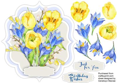 Lovely Water Coloured Tulips and Crocus Flowers