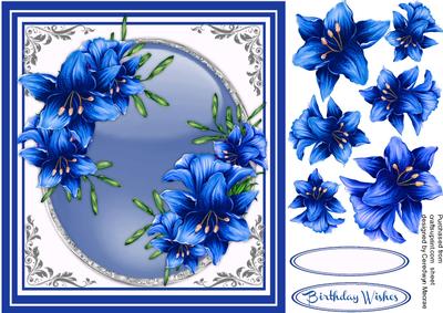 Stunning Lillie's in Blue 