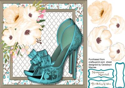 Beautiful Aqua Lace Shoes 