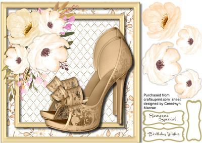 Beautiful Gold Lace Shoes 