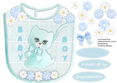 Lovely Blue Baby Boys' Bib 