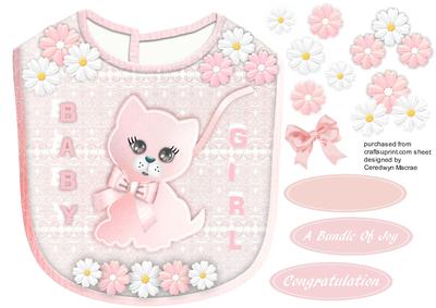 Lovely Pink Baby Girls Bib 