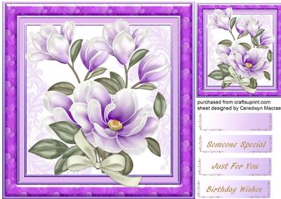 Lovely Lilac Magnolias on Lace 