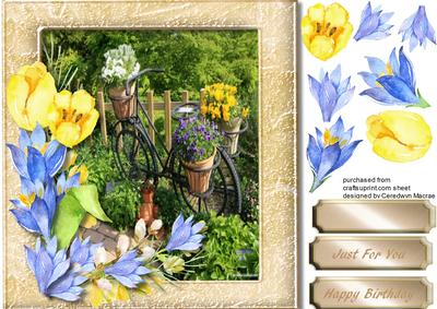 Lovely Garden of Tulips and Crocus