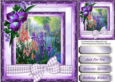 Lovely Irises and Foxgloves