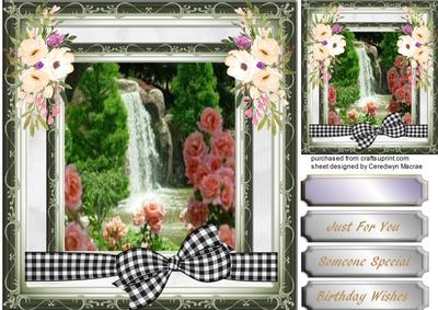 Lovely Anemone's and Water Scene