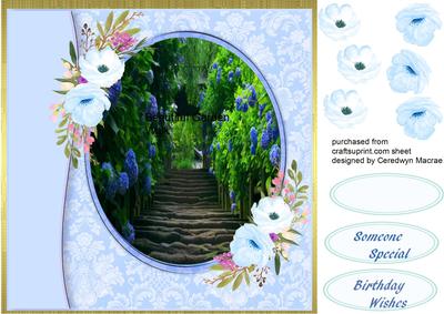 Lovely Blue Garden Walk 