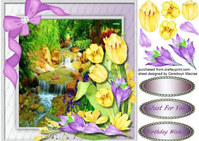 Beautiful Scene with Tulips and Crocus 