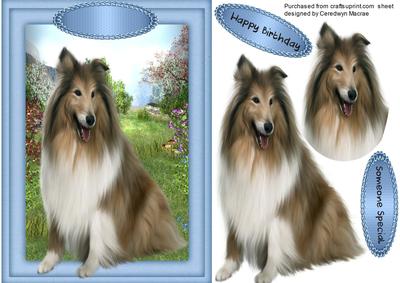 Lassie in the Gar4den