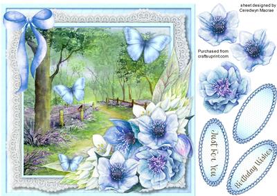 Butterflies in Bluebell Woods