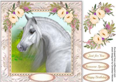 Beautiful Arabian Horse with Anemone's 