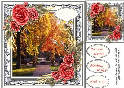 Lovely Roses and Scene 