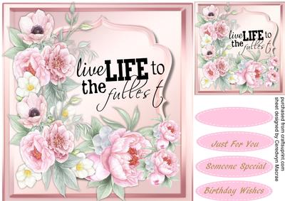 Live Llife to the Fullest 