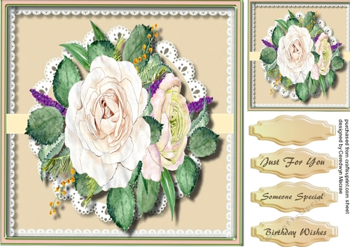 Beautiful Cream roses on lace 5 