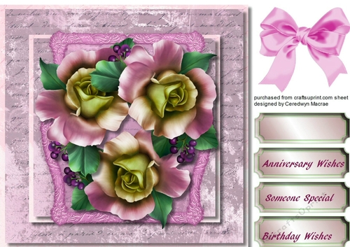Lovely Roses on a Pink Script Frame 