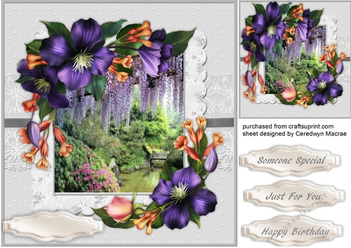 Beautiful Summer flowers 