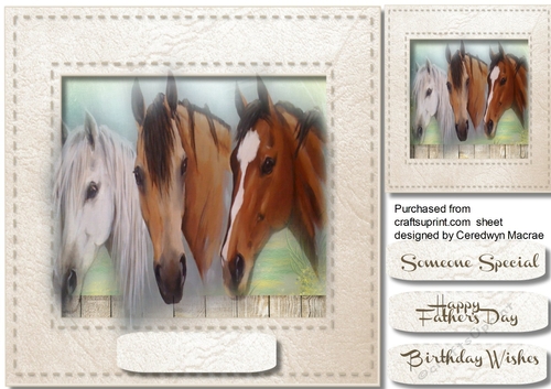 Beautiful Horses at The fence 