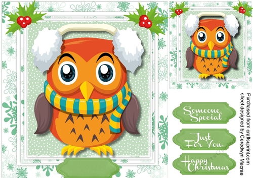 Cute Owl Wrapped up for Christmas 