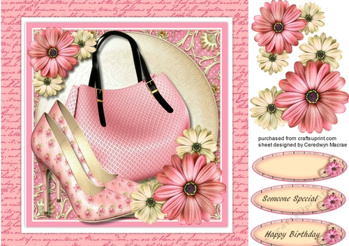 Beautiful Deep pink shoes and Bag 