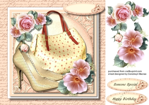 Beautiful Pink shoes and Bag 