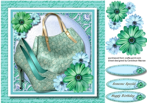 Beautiful Aqua shoes and Bag 
