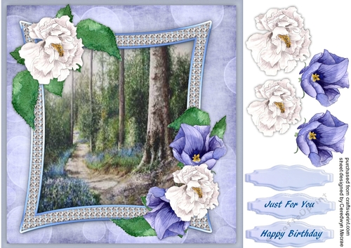 Beautiful flowers in a Sparkle Frame 