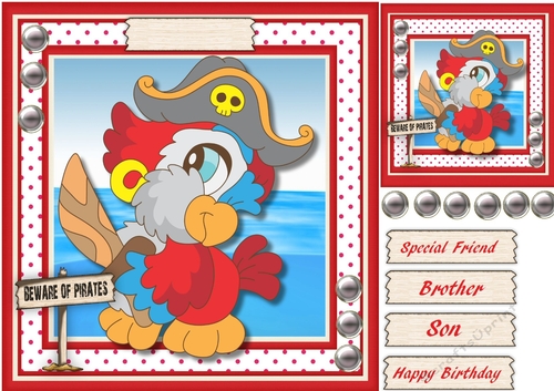 Beware of the Parrot Pirate 