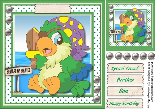 Beware of the Green Parrot Pirate , 3 