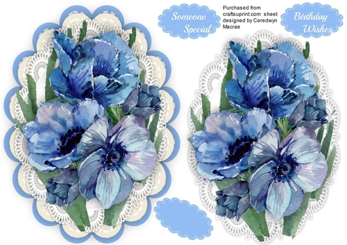 Beautiful Anemones on a lace mat 