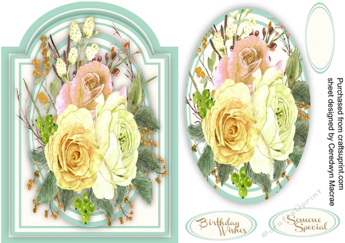 Beautiful Summer Roses 
