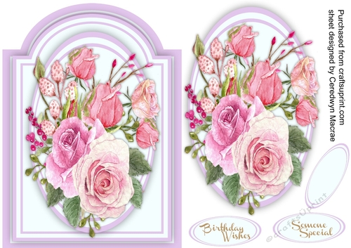 Beautiful Pink Summer Roses 