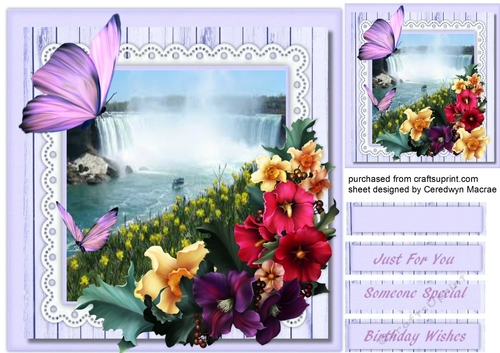 Stunning Waterfall and Daffodils