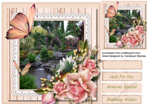 Stunning Water Scene and Roses 