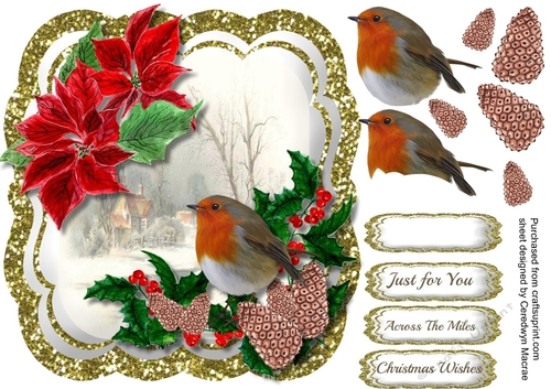 Beautiful Robin in the Snow