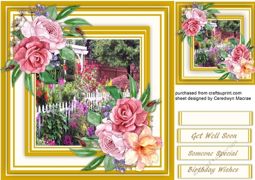 Flowers at Roses Cottage 