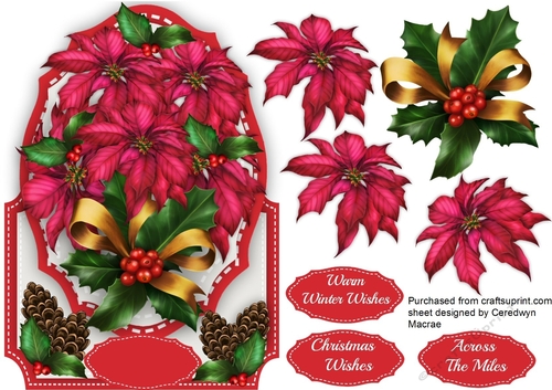 Over the Edge , Beautiful Poinsettias and Pine Cones 