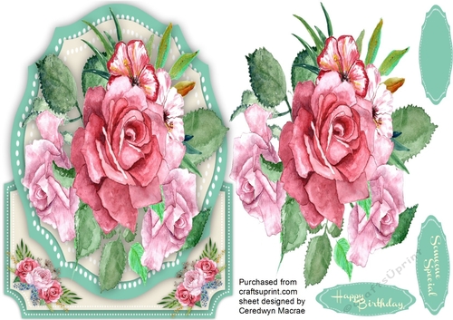 Over The Edge , Beautiful Deep pink roses 