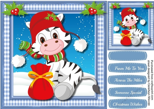 Zebras Christmas Greetings 
