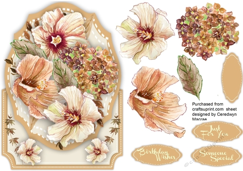 Over the Edge , Beautiful Sepia Flowers 