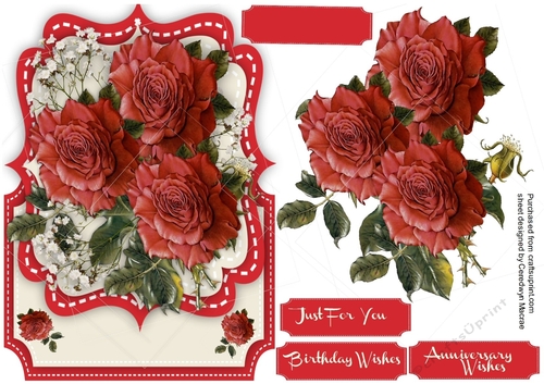 Over The Edge  Bracket, Beautiful Red roses 