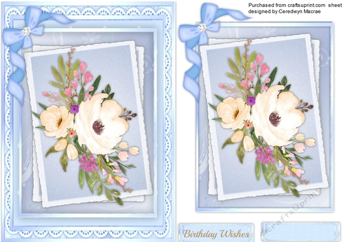 Beautiful Anemones on a Double Mat