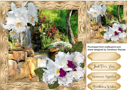 Beautiful Orchids in a Gold frame 