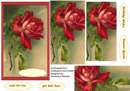 Beautiful Pyramid Red Roses , 