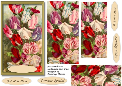 Beautiful pyramid Sweetpeas
